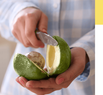 Avocado-1